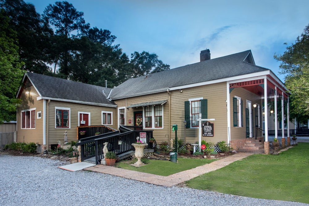 A quaint building with cream-colored siding and green shutters sits under a blue sky. The structure, housing a friendly veterinarian clinic, features a small porch with white columns and a ramp for accessibility. The surrounding area is adorned with green plants, decorative items, and a gravel walkway.