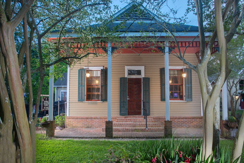 A charming single-story house with yellow siding, green shutters, and a brick foundation. The entrance has a small porch with two hanging lanterns and steps leading up to a central door. The house, once owned by a local vet, is surrounded by lush greenery and partially shaded by trees.