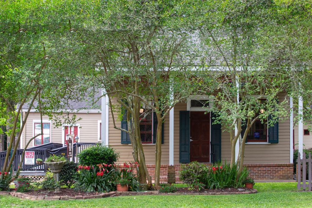 A charming home with beige siding and dark green shutters is surrounded by leafy trees and a well-maintained garden with potted plants and blooming flowers. A "For Sale" sign near the driveway hints at its potential as an ideal spot for a veterinarian's serene retreat. The house features a wooden door and a small porch with white columns.