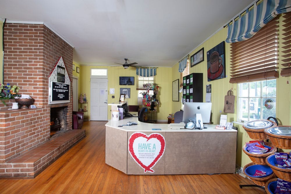 A welcoming reception area with a wooden desk, an iMac computer, and various brochures. There's a brick fireplace to the left, wooden flooring, and yellow walls decorated with pictures and shelves. A heart-shaped sign on the desk reads, "Have a Heart for Hospitality." Perfect for any caring vet's office.