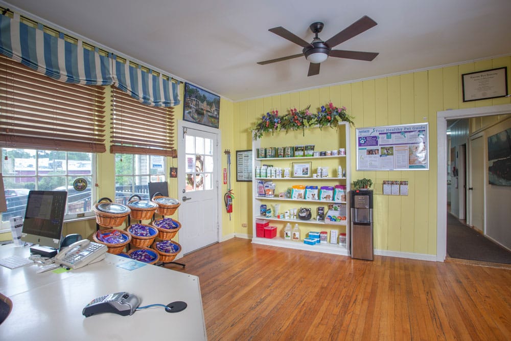 A bright room with yellow walls and wooden flooring. A shelf displays pet supplies and decorations, while a desk with a computer occupies the foreground. Windows with wooden blinds and blue-striped valances let in natural light. A doorway leads to a corridor, giving it the feel of a friendly veterinarian's office.