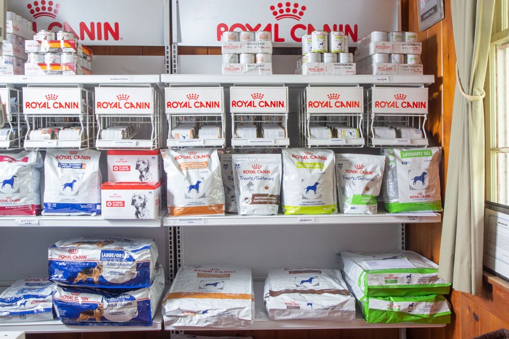 Shelves in a pet store are loaded with various Royal Canin pet food products. The shelves include both dry kibble bags and canned wet food, with packaging in different sizes and colors. Sunlight streams in through a window to the right, illuminating the veterinarian-recommended selection.