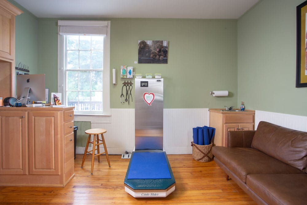 A veterinary clinic exam room with a weigh scale, green walls, hardwood floor, and a desk with a computer. A stool and paper towel holder are nearby, while a brown couch offers comfort. Shelves hold jars and medical supplies. Natural light streams through the window, and a dog photo adds charm to the vet's space.