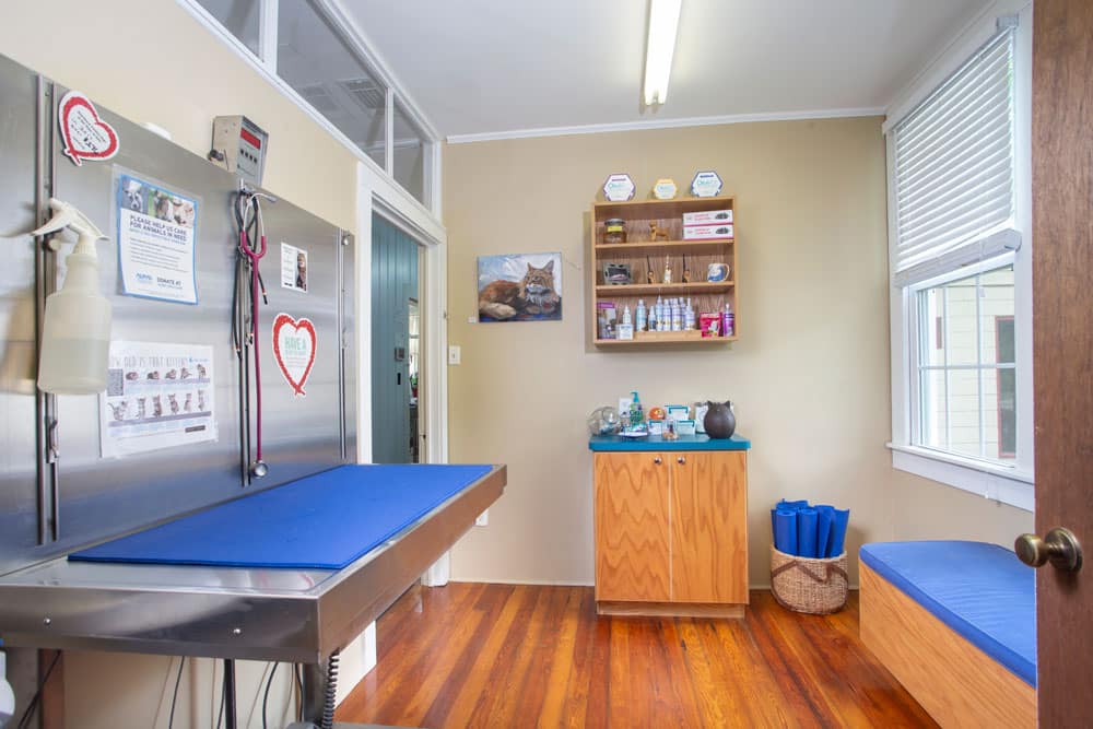 A well-lit veterinary examination room featuring a stainless steel table with a blue padded surface, medical equipment and posters on the wall, a wooden cabinet with shelves holding various supplies, and a blue cushioned bench next to a window with blinds.