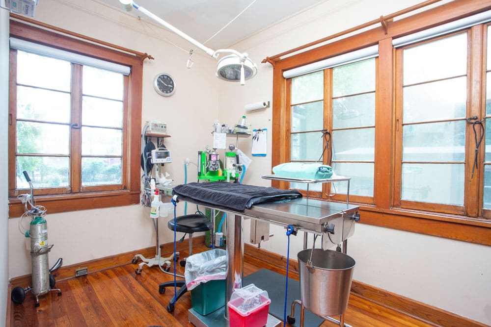 A well-lit veterinary operating room with wood-paneled windows and hardwood flooring. It features a surgical table, anesthesia equipment, oxygen tanks, and various medical supplies. An overhead surgical light hangs above the table, ready for the skilled vet to perform procedures.