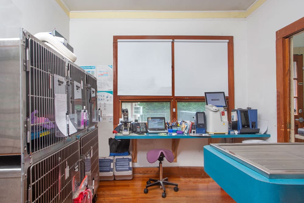 A veterinary examination room with steel cages on the left, some containing documents and supplies on top. A desk with a computer, telephone, and medical equipment sits in front of a window. An examination table for the veterinarian is in the foreground to the right.