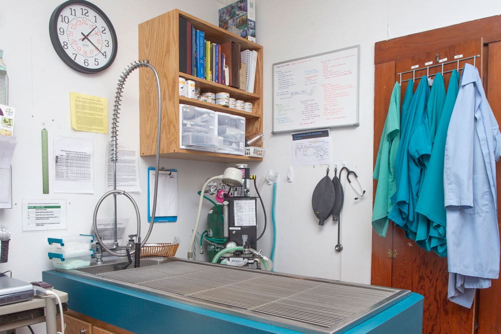 A well-organized veterinary exam room features a stainless steel examination table, shelves with medical supplies, a wall clock, a whiteboard with notes, and hooks holding several sets of scrubs. The sink area has a flexible faucet and various cleaning supplies to support the vet's work efficiently.