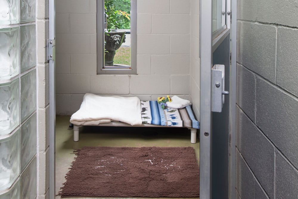 A small room resembling a veterinarian's exam space, with a single cot bed covered by a simple blanket and a couple of rolled-up towels at the foot. The room has a narrow window, a brown rug on the floor, and concrete block walls. There is a door slightly open to the right.