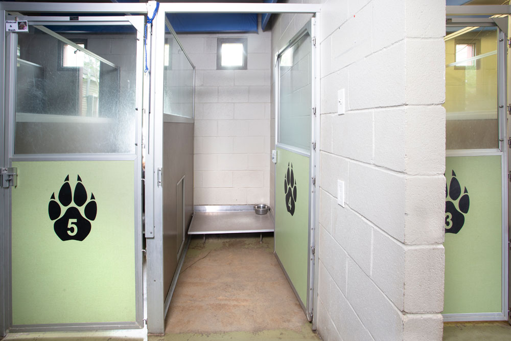 A well-lit, clean animal shelter with two open stalls, marked with large paw prints labeled "5" and "3." Each stall has a metal bedframe and a water bowl. The stalls have frosted glass doors and are separated by white cinder block walls, ensuring each animal enjoys comfort while waiting for the vet.