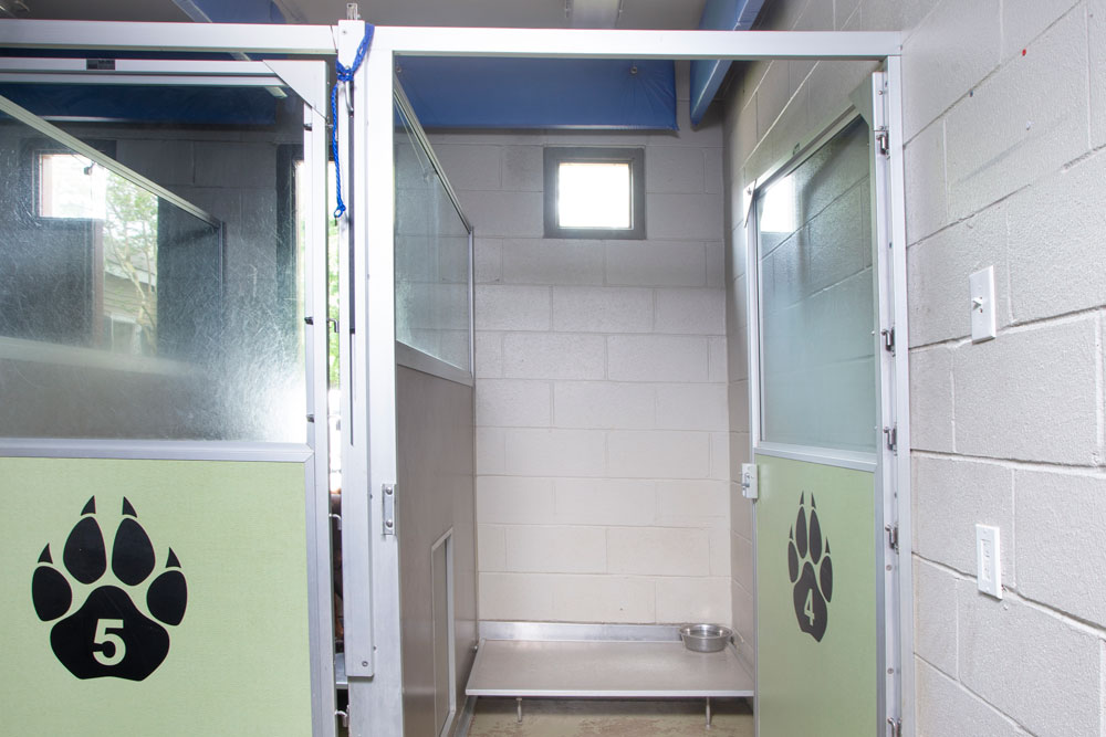 A well-lit animal kennel, perfect for a veterinarian's needs, features two compartments with numbered plaques: "5" on the left and "4" on the right. The clean compartments have metal feeding bowls and elevated metal beds. Walls are white with a small window above.