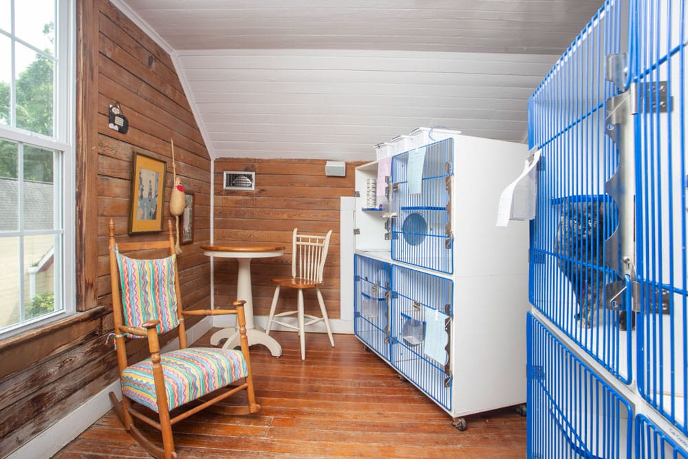 A cozy room with wood-paneled walls and a wooden floor. It features cages for pets on the right, a colorful striped rocking chair, a small table with two chairs near the back wall, and a window on the left letting in natural light. Perfect for consultations with your veterinarian, various small decorations adorn the walls.