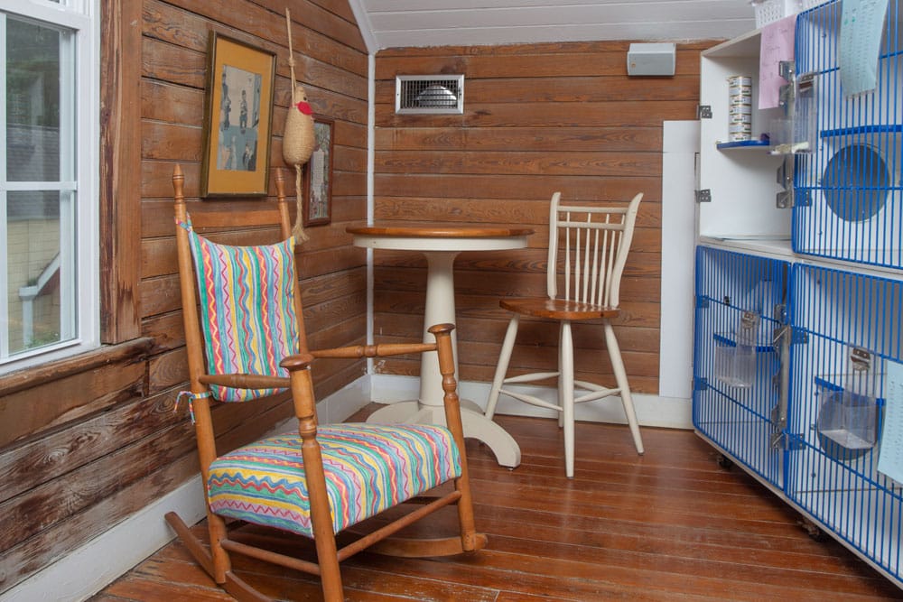 A cozy room with wooden walls and floors features a colorful rocking chair, round table, beige chair, and a large blue birdcage. A framed picture hangs on the wall above the rocking chair, hinting at the previous veterinarian occupant. A window allows natural light into the space.