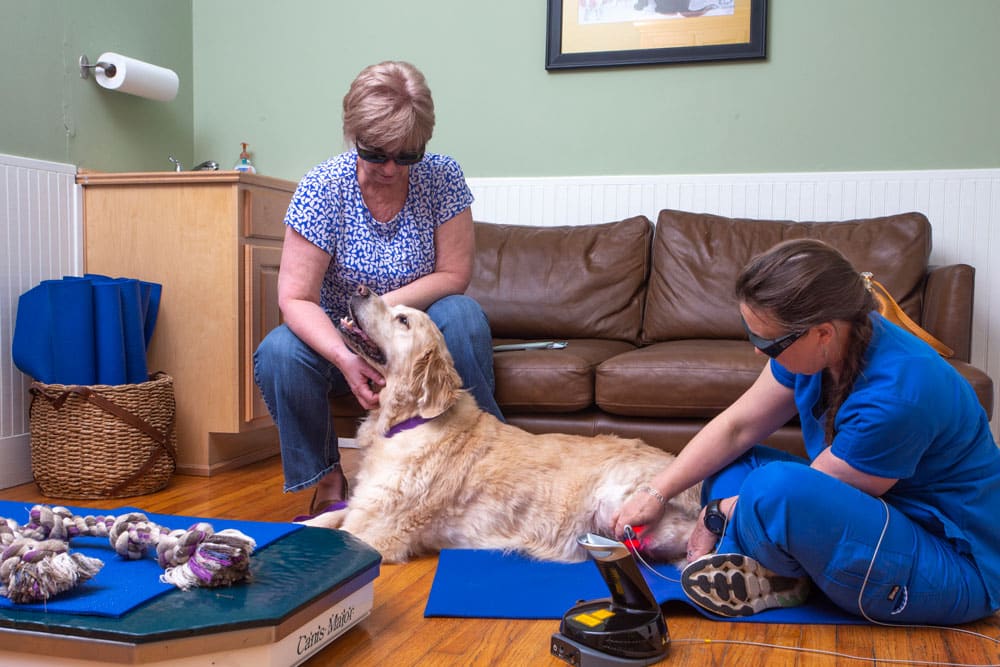 A woman wearing a blue shirt and sunglasses sits on the floor, petting a golden retriever lying on a blue mat. A veterinarian in blue scrubs and sunglasses uses a medical device on the dog's leg. They are in a room with a couch and a framed picture on the wall.