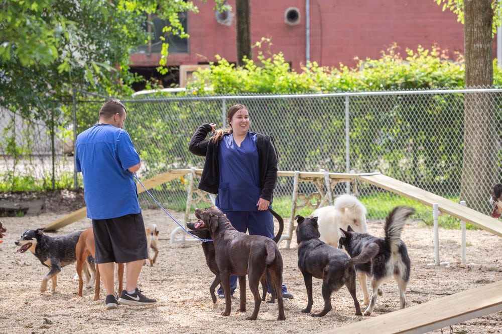 Two people in blue uniforms are standing in an outdoor dog park surrounded by several dogs of various breeds. The fence and trees are visible in the background. One person, likely a veterinarian, is holding a leash while the other is smiling with their arm raised.