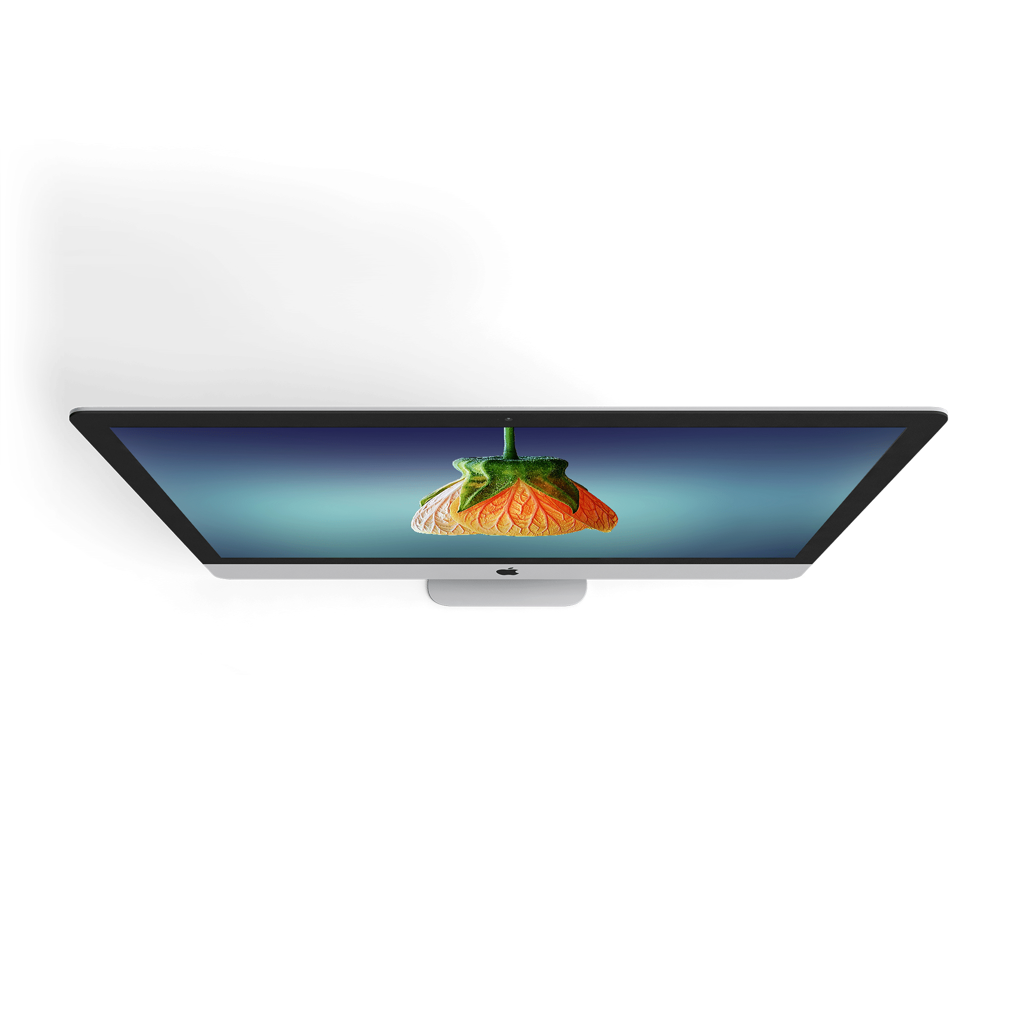A sleek, thin Apple iMac computer viewed from an angle displays a high-resolution image of a vibrant orange and green flower bud against a gradient blue background on its screen—perfect for a veterinarian’s office. The iMac has a silver stand and a black bezel around the screen.