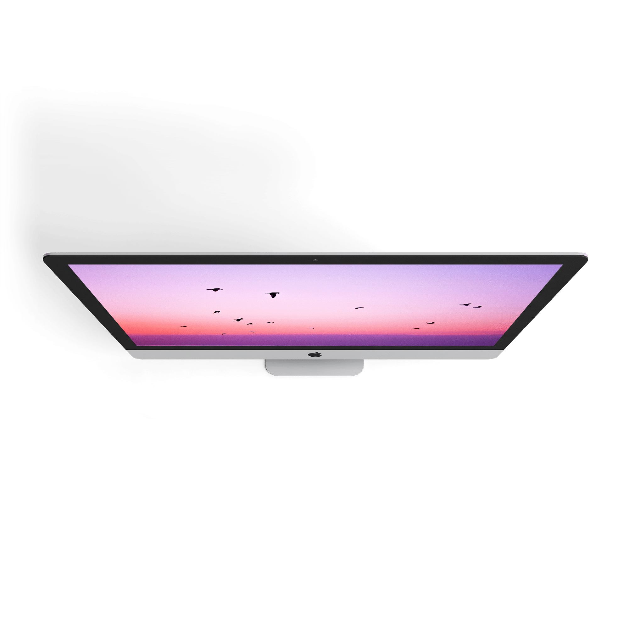 Front view of a slim desktop monitor displaying a serene sunset scene with birds flying across a gradient sky of pink, purple, and blue hues. The monitor includes a central base and is set against a black background, creating an atmosphere as calming as a visit to the vet.